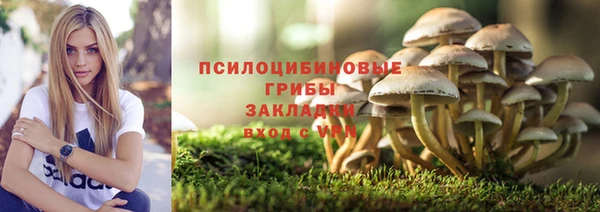 2c-b Дмитриев