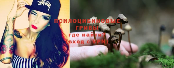 ПСИЛОЦИБИНОВЫЕ ГРИБЫ Дмитровск