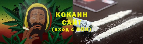 2c-b Дмитриев