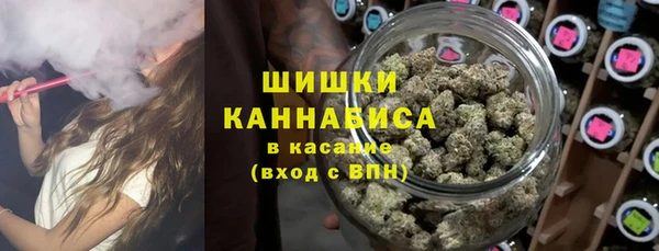 2c-b Дмитриев