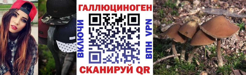 Галлюциногенные грибы Magic Shrooms  Купить где  Козьмодемьянск 